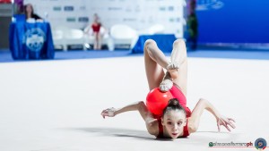 5 cerchi euganea   buson viola sfa06434a copia